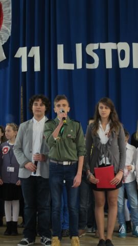 obraz003