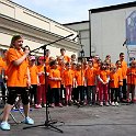 obraz116