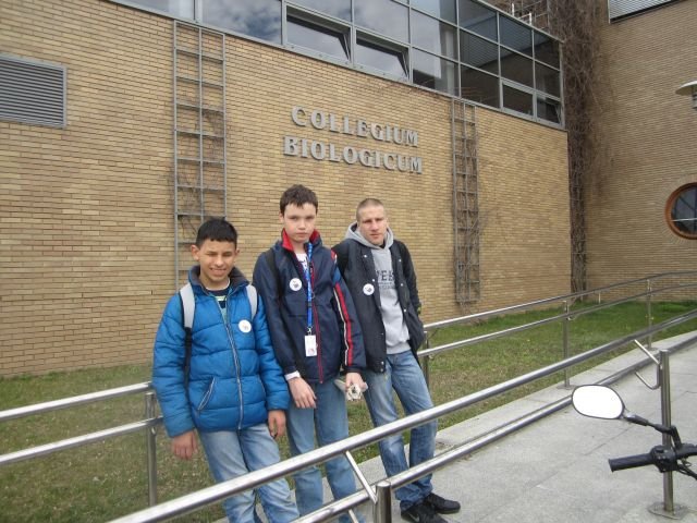 obraz006