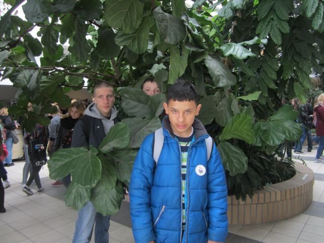 obraz013