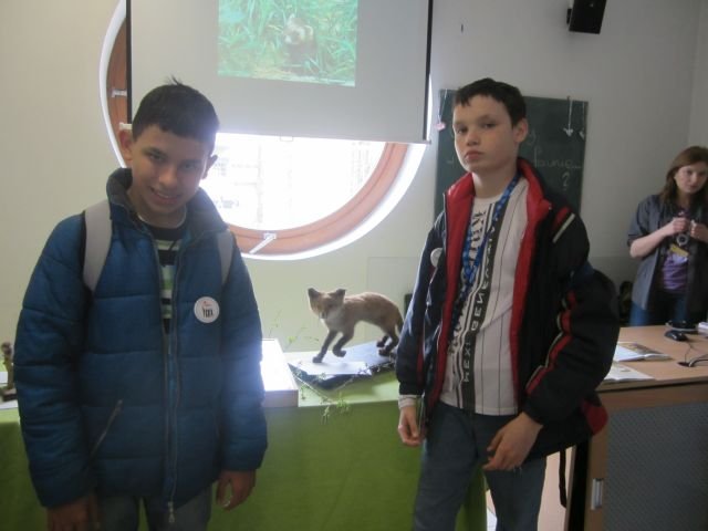 obraz015