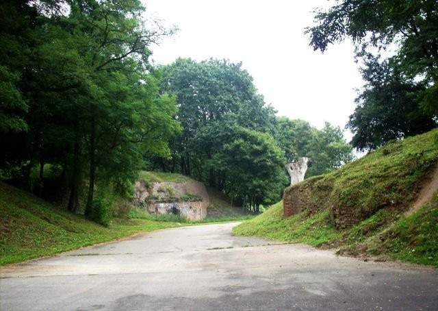 obraz001