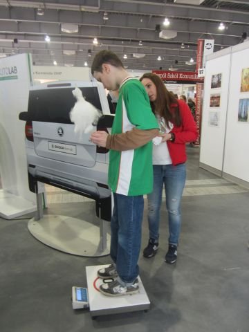 obraz016