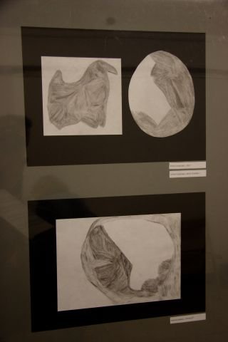 obraz004