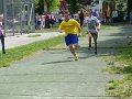 obraz078