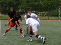 obraz181