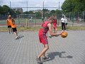 obraz348