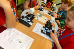 ae09dcbc-f463-44b4-bb39-0cbedb9022f6