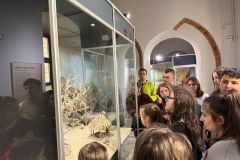 muzeum-4