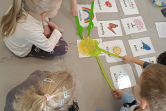 IMG_20250305_105401_1