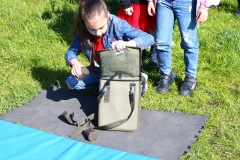 fot.43