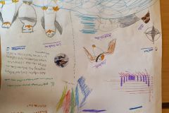 IMG_20240529_112233