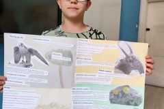 IMG_20240529_120601