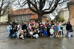 88d7442d-a5c7-42b3-913d-7c41ddb9ed53