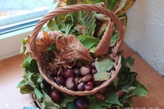 IMG_20210923_133211
