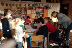 IMG_20221106_190222