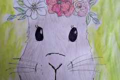 PHOTO-2026-03-30-11-59-58_3