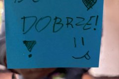 EDF7343E-686D-4EC9-B701-BD55AA6CA385